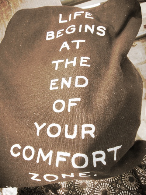 Alez has the perfect quote on her bag ~ skydiving beats sitting in my study anyway. Do what you afraid of ~ or even if you are not afraid ~ that is where your best life lives!!