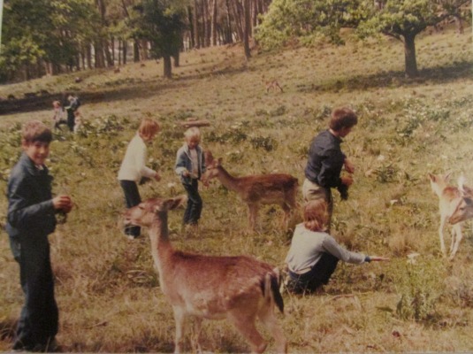 Feeding the bucks at Rhodes Memorial. We were so young! 