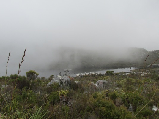 The mist rolling in over De Villiers Dam.