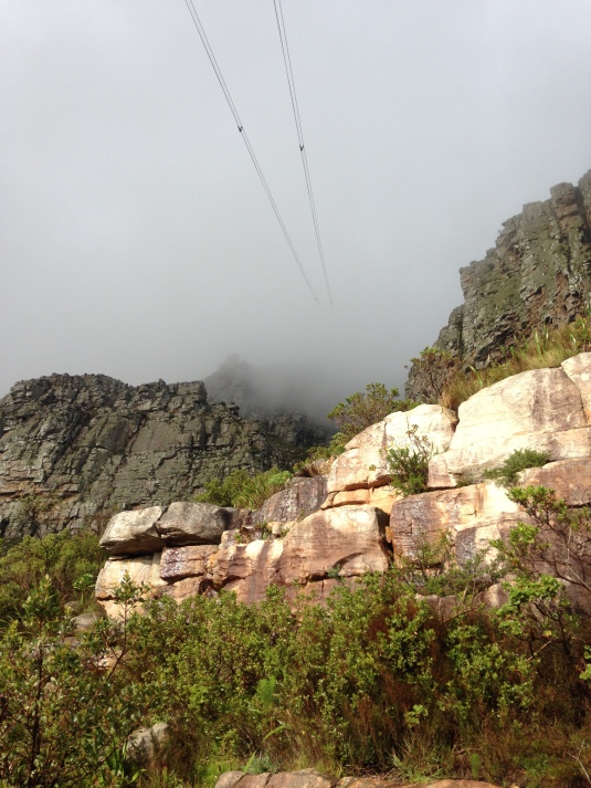 The cables for the cable car going up, disappearing in the mist up the mountain.